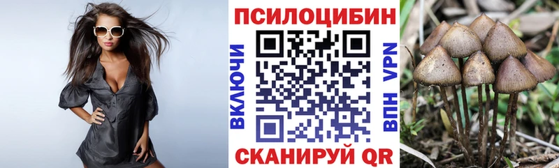 купить наркотики цена  Кубинка  OMG ТОР  Галлюциногенные грибы Cubensis 